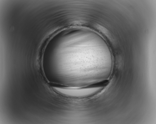 X0000089711018200707051658