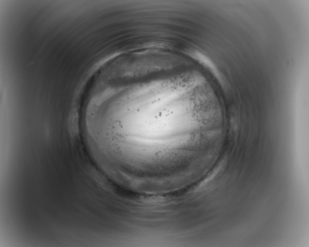 X0000089711019200707051658