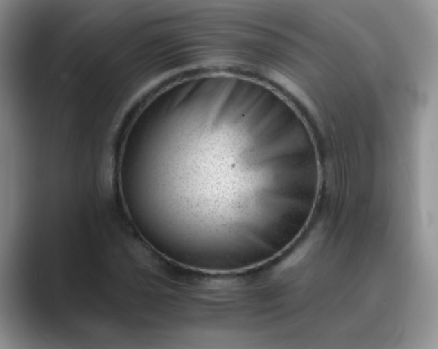 X0000089711021200707051658