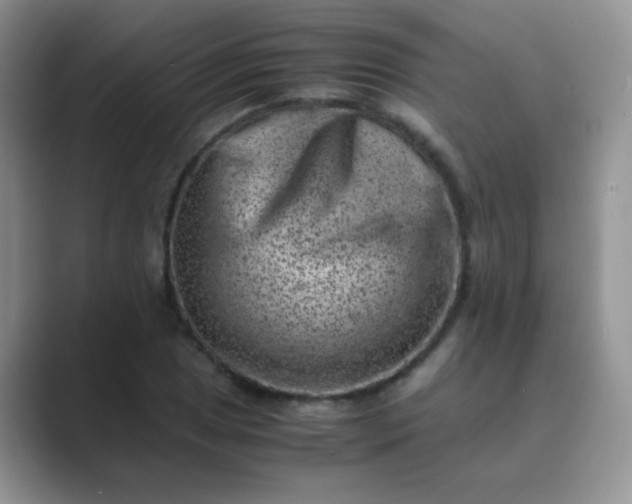 X0000089711025200707051658