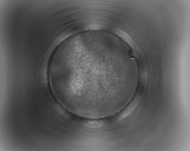 X0000089711026200707051658