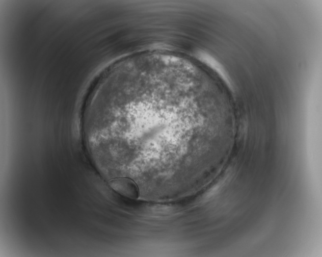 X0000089711027200707051658