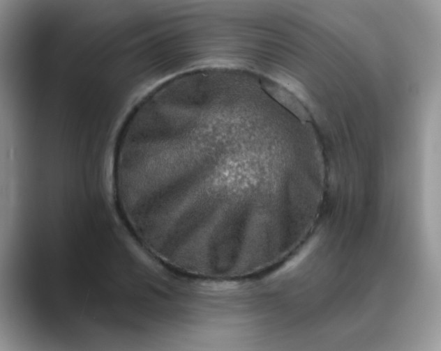 X0000089711030200707051658