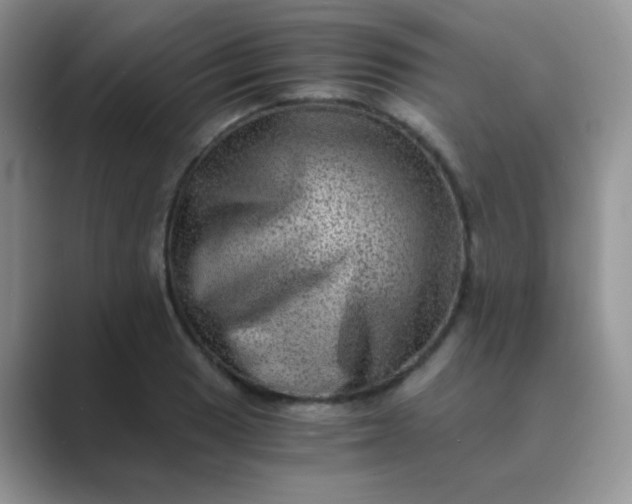 X0000089711033200707051658