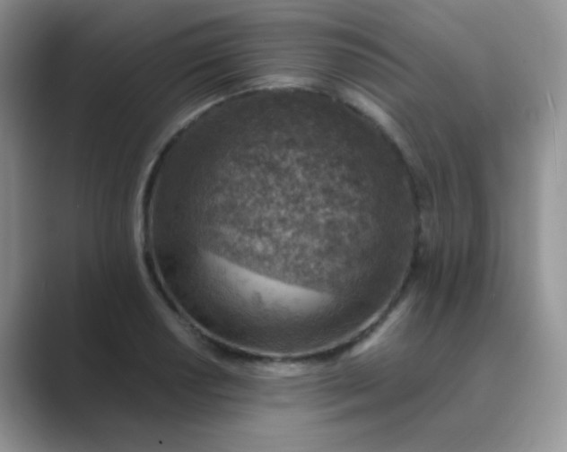 X0000089711034200707051658