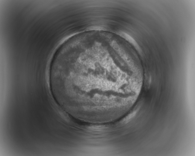 X0000089711035200707051658