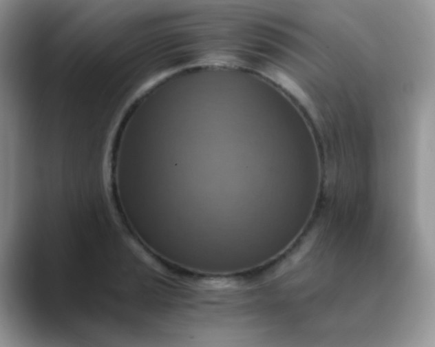 X0000089711037200707051658