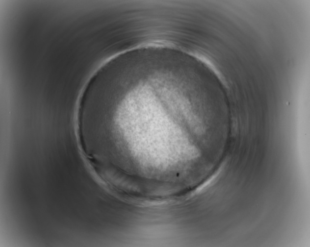 X0000089711038200707051658