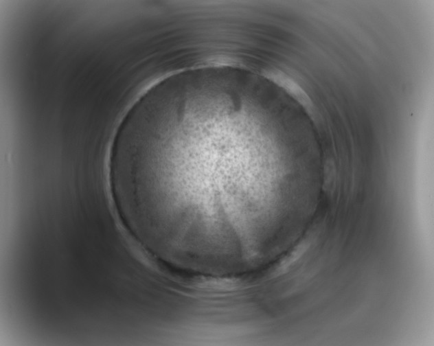 X0000089711039200707051658