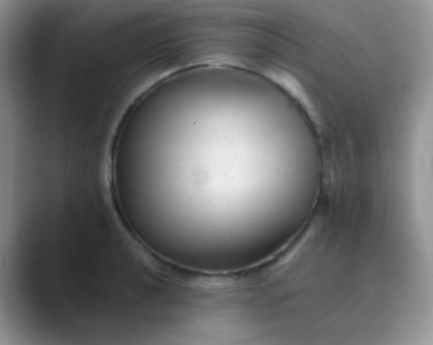 X0000089711040200707051658