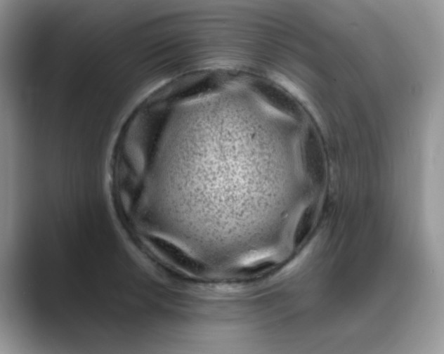 X0000089711042200707051658