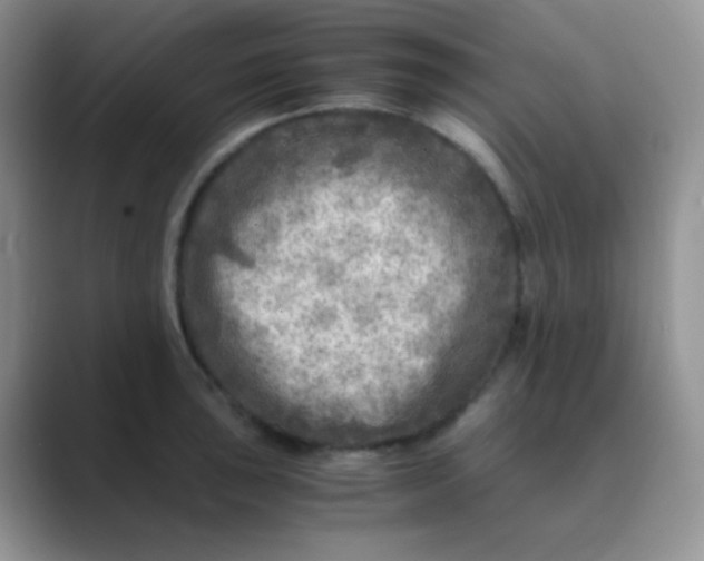 X0000089711043200707051658