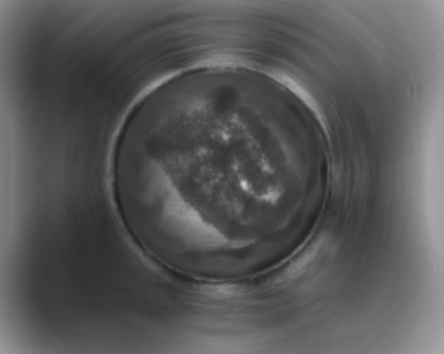 X0000089711045200707051658