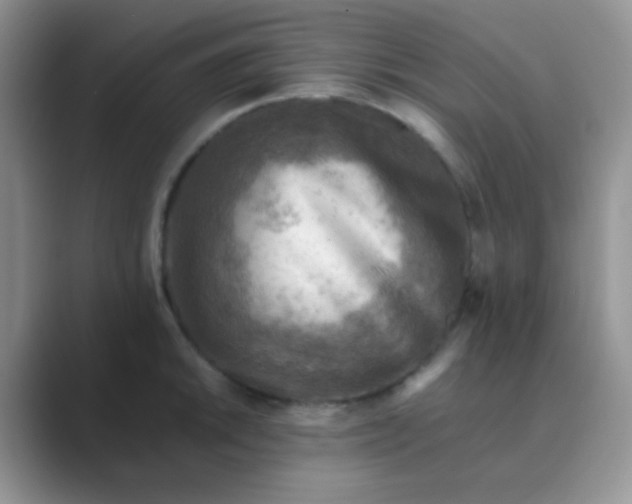 X0000089711046200707051658