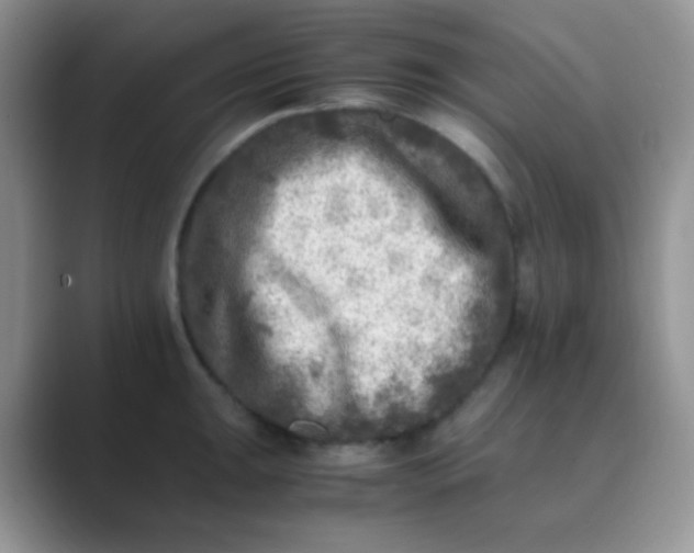 X0000089711047200707051658