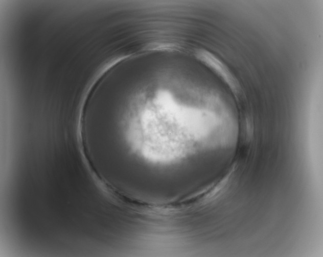 X0000089711050200707051658