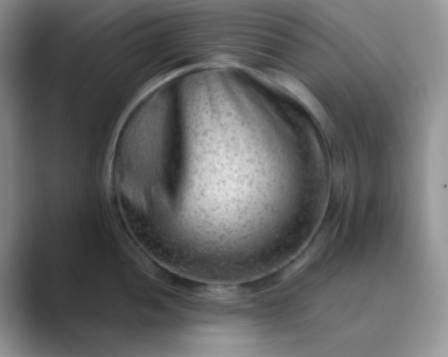 X0000089711052200707051658