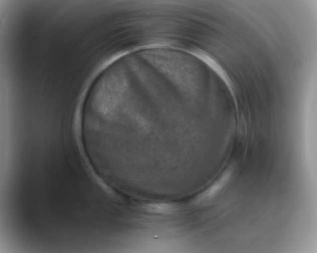 X0000089711053200707051658