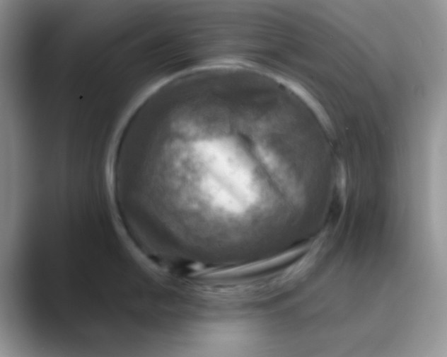 X0000089711054200707051658