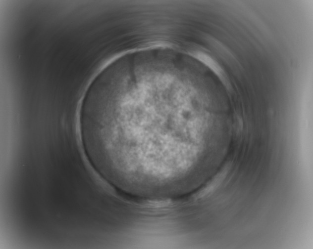 X0000089711055200707051658