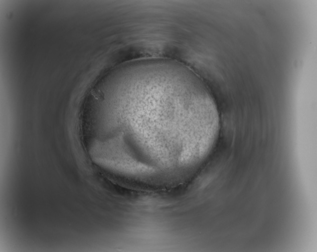 X0000089711057200707051657