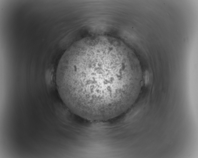 X0000089711059200707051657