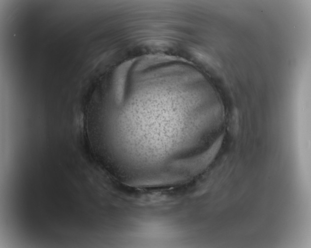 X0000089711061200707051657