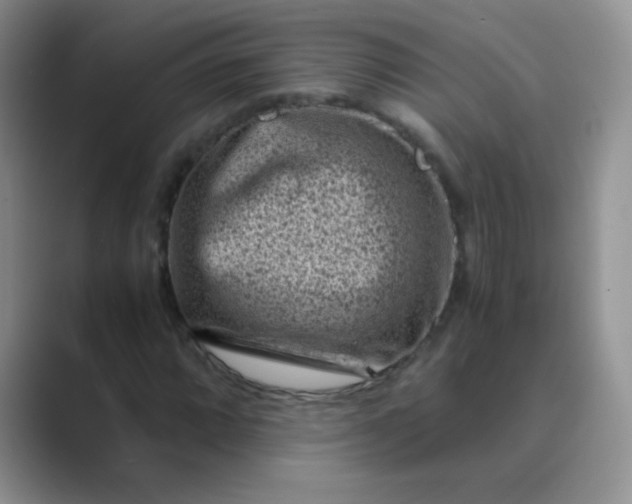 X0000089711064200707051657