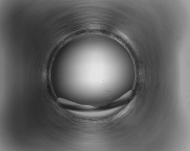 X0000089711065200707051657