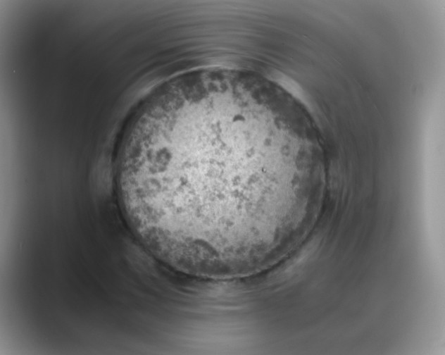 X0000089711067200707051657