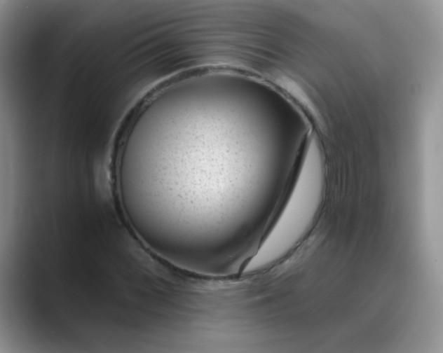 X0000089711068200707051657