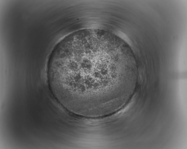 X0000089711071200707051657