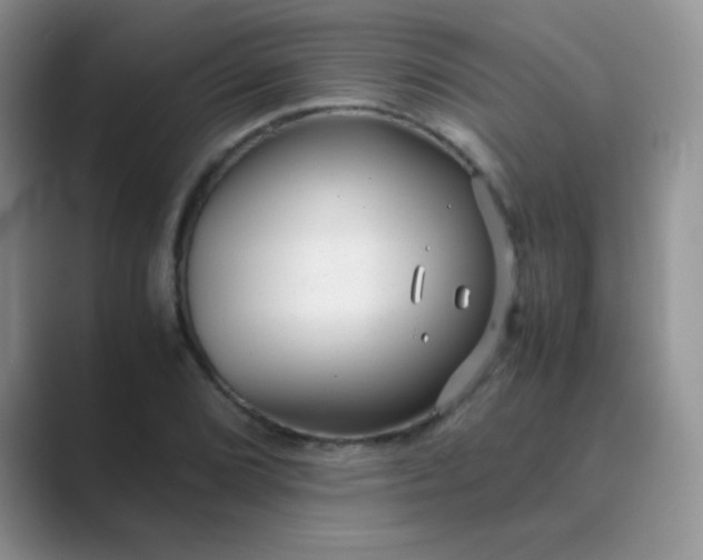 X0000089711072200707051657