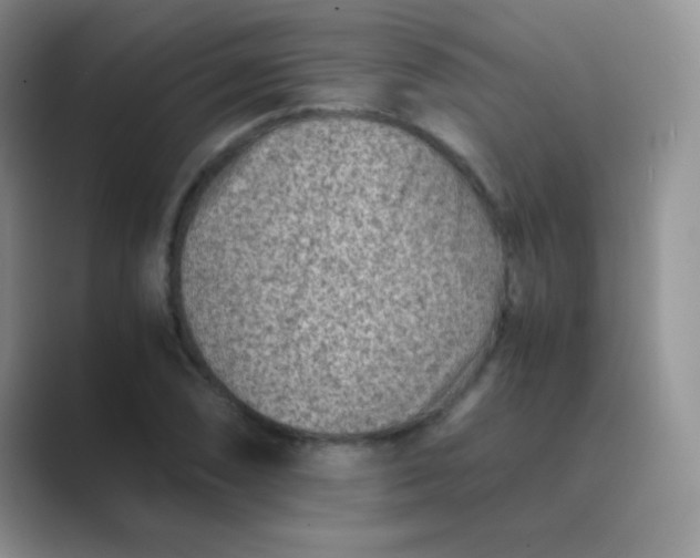 X0000089711074200707051657