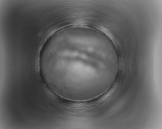 X0000089711075200707051657