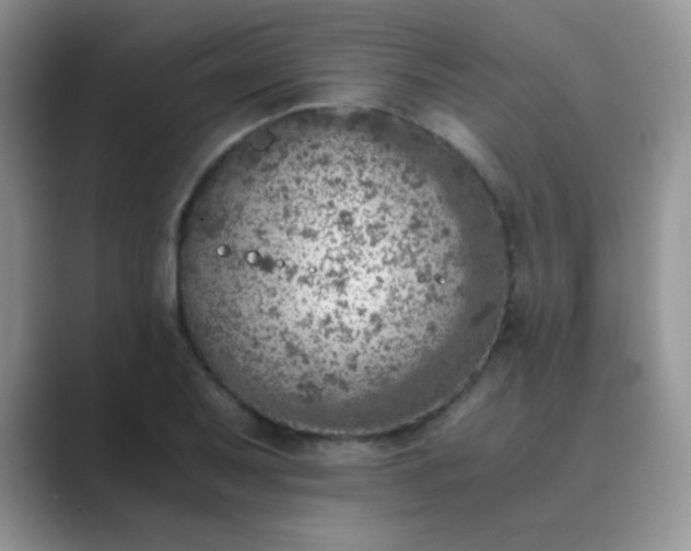 X0000089711079200707051657