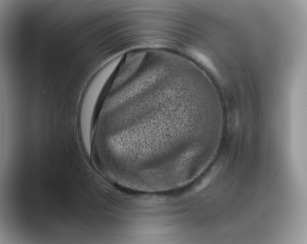 X0000089711081200707051657