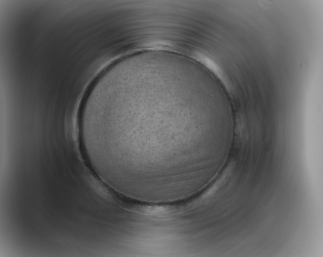 X0000089711082200707051657