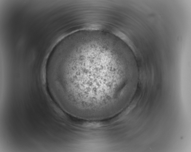 X0000089711083200707051657