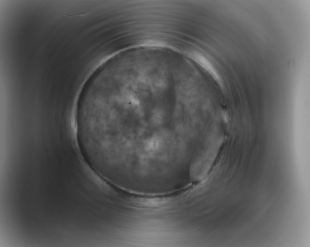 X0000089711084200707051657