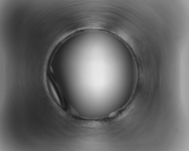 X0000089711085200707051657