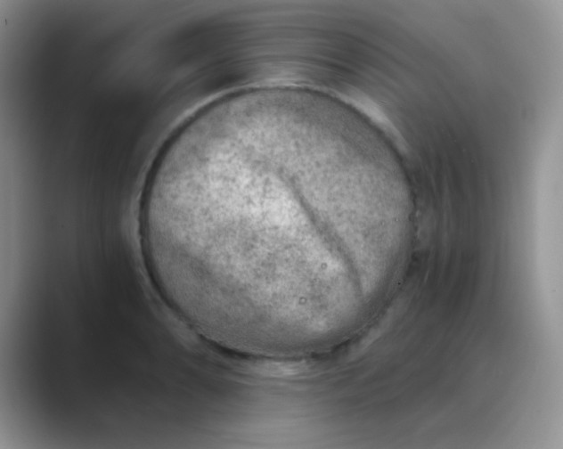 X0000089711086200707051657