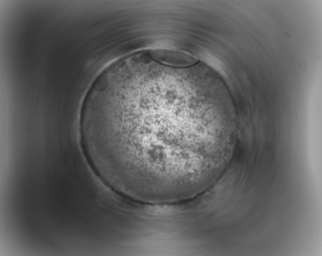 X0000089711087200707051657