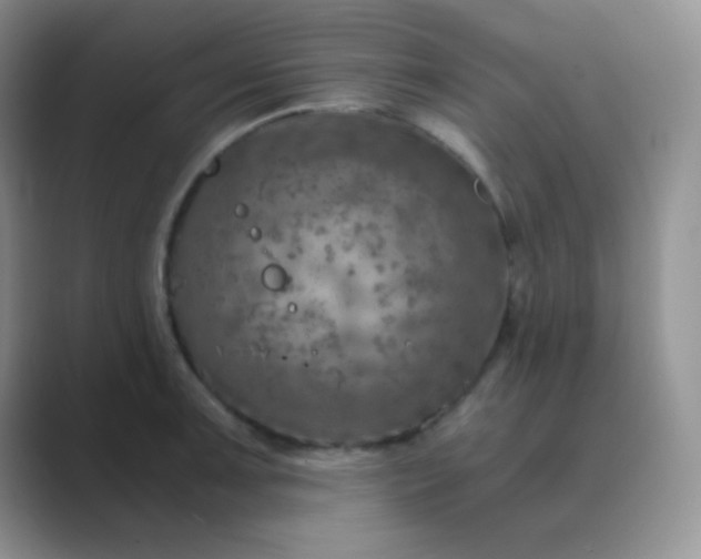 X0000089711091200707051657