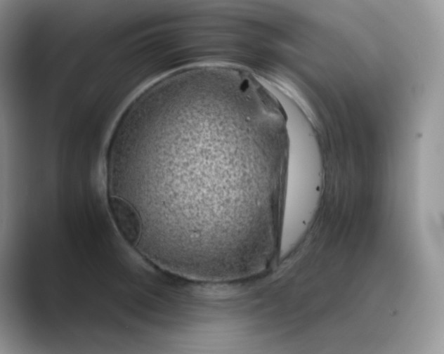 X0000089711092200707051657