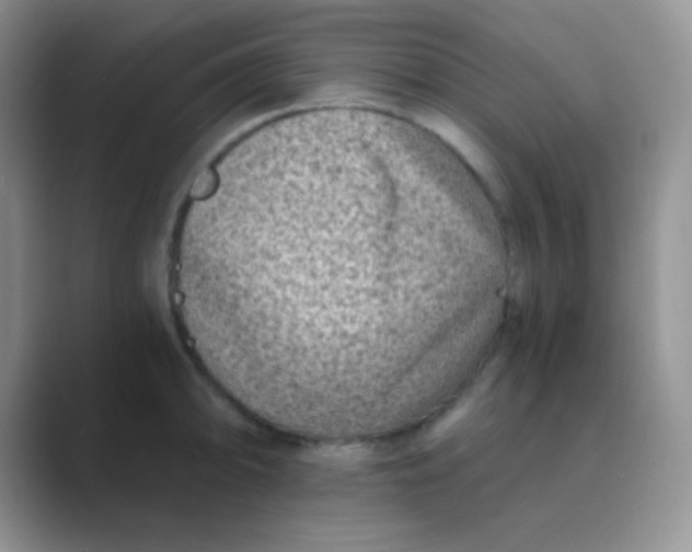 X0000089711094200707051657