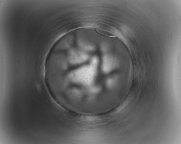 X0000089711095200707051657