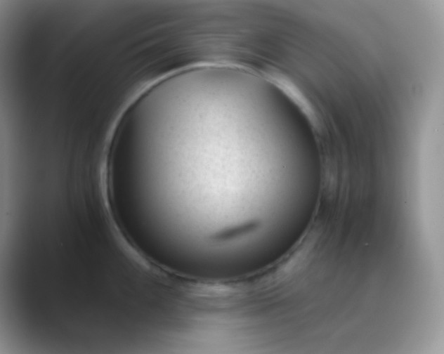 X0000089711100200707051657