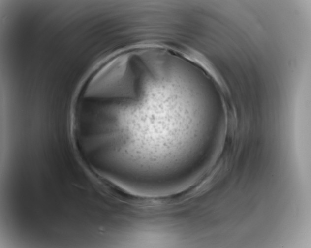 X0000089711101200707051657