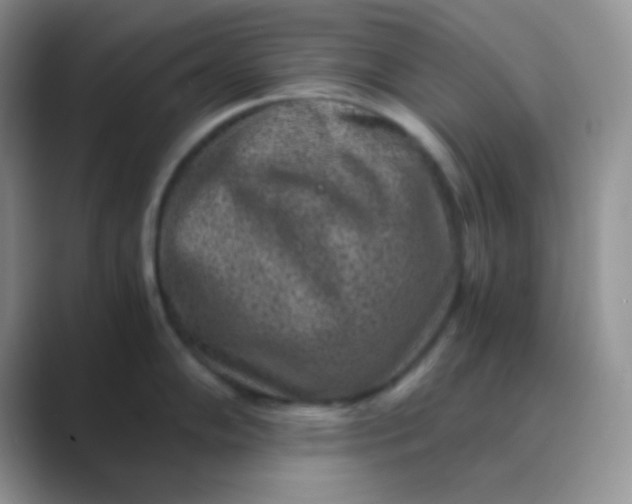 X0000089711102200707051657